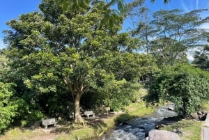 Boquete: Guided E-Bike Panoramic Tour