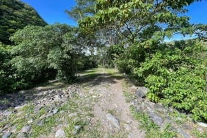 Boquete: Guided E-Bike Panoramic Tour