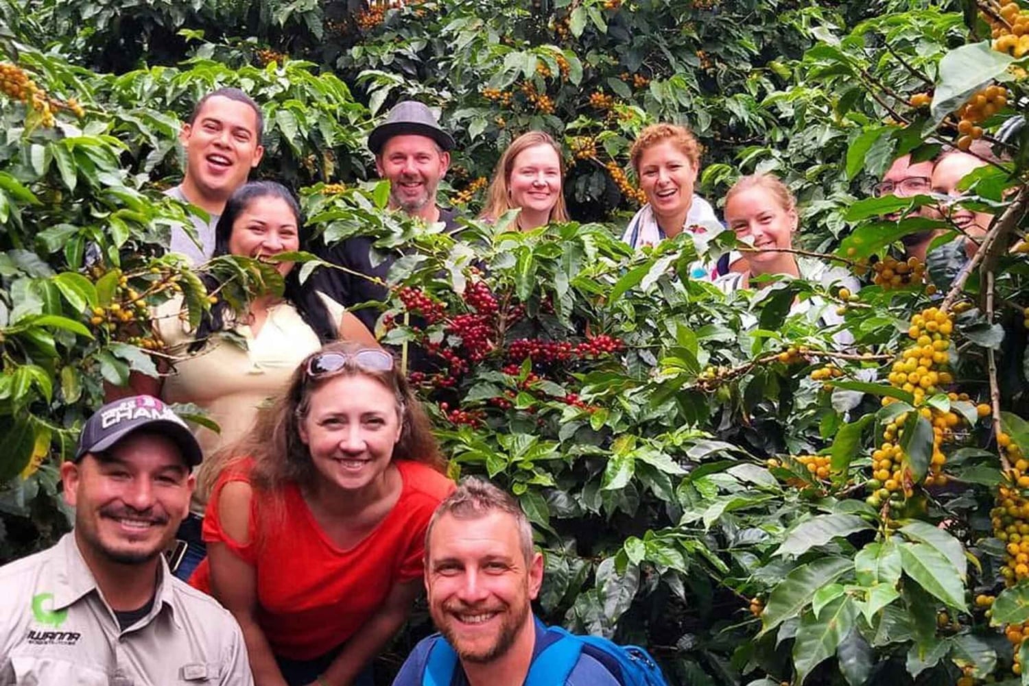 Boquete: Guided Hike and Coffee Farm Tour with Tasting