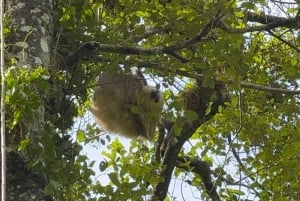 Boquete: Guided Hike and Coffee Farm Tour with Tasting