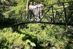 Boquete: Guided hikes through the cloud forest