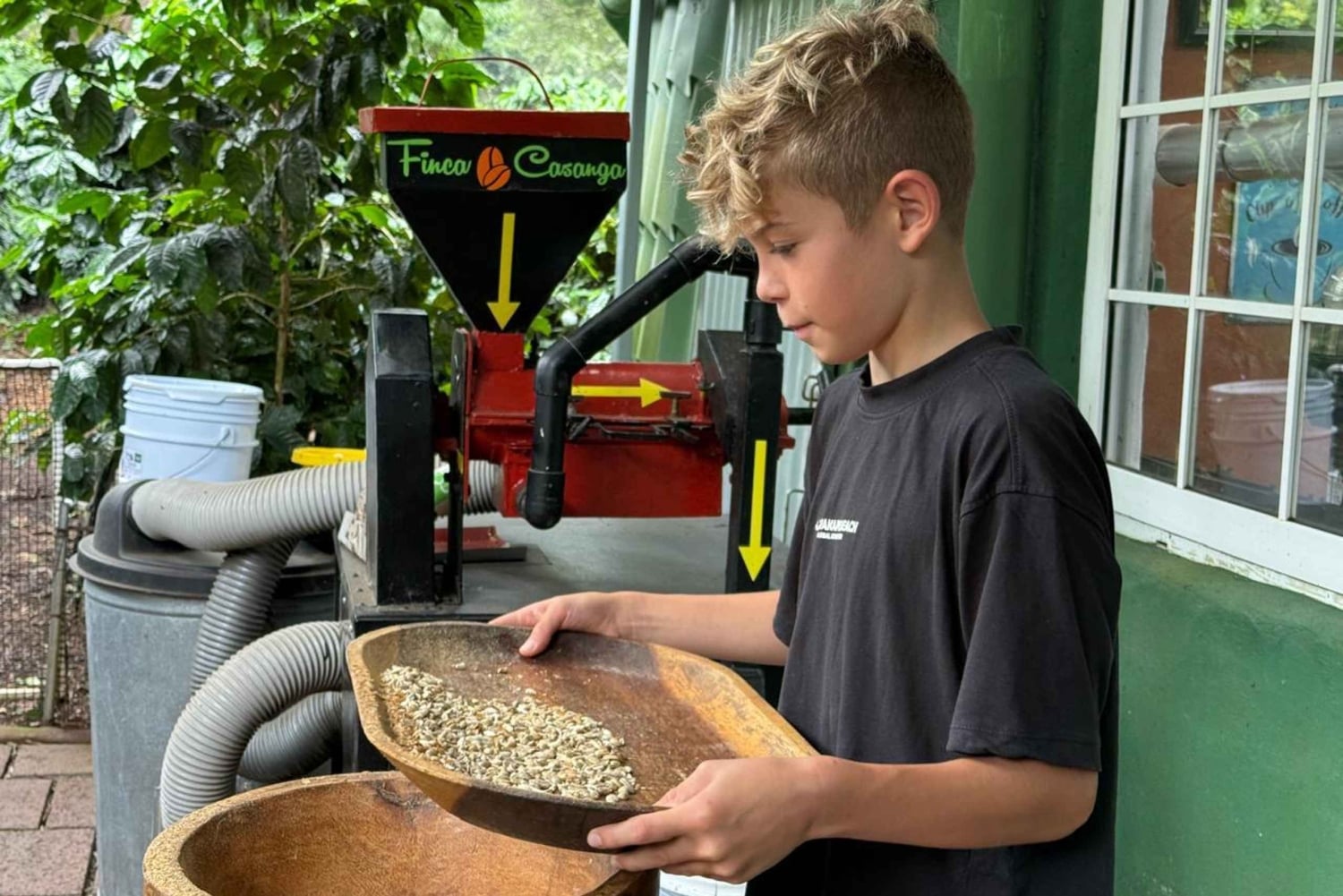 Boquete: Hands-On Coffee Experience with Tasting