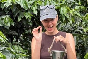 Boquete: Hands-On Coffee Experience with Tasting