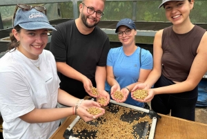 Boquete: Hands-On Coffee Experience with Tasting
