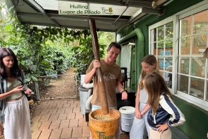 Boquete: Hands-On Coffee Experience with Tasting
