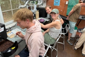 Boquete: Hands-On Coffee Experience with Tasting