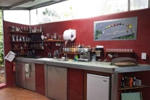 Boquete: Hands-On Coffee Experience with Tasting