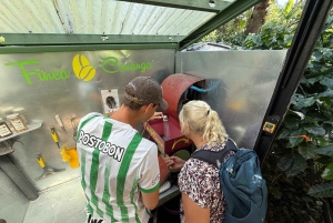 Boquete: Hands-On Coffee Experience with Tasting