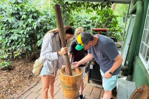 Boquete: Hands-On Coffee Experience with Tasting
