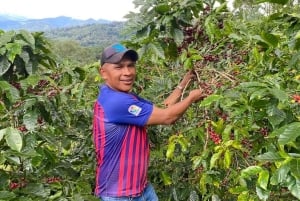 Boquete, Panama: Private Specialty Coffee Tour