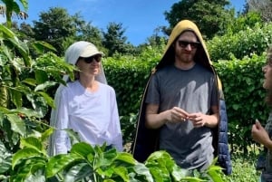 Boquete, Panama: Private Specialty Coffee Tour