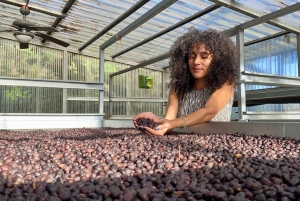 Boquete, Panama: Private Specialty Coffee Tour