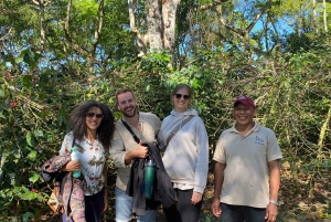 Boquete, Panama: Private Specialty Coffee Tour