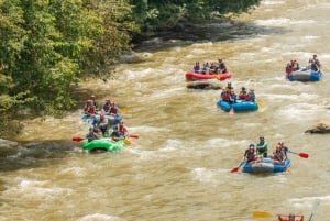 Boquete: Rafting on the Chiriqui Viejo River