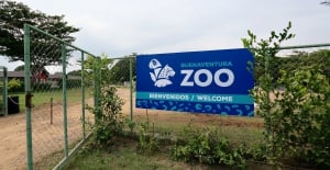 Buenaventura Zoo