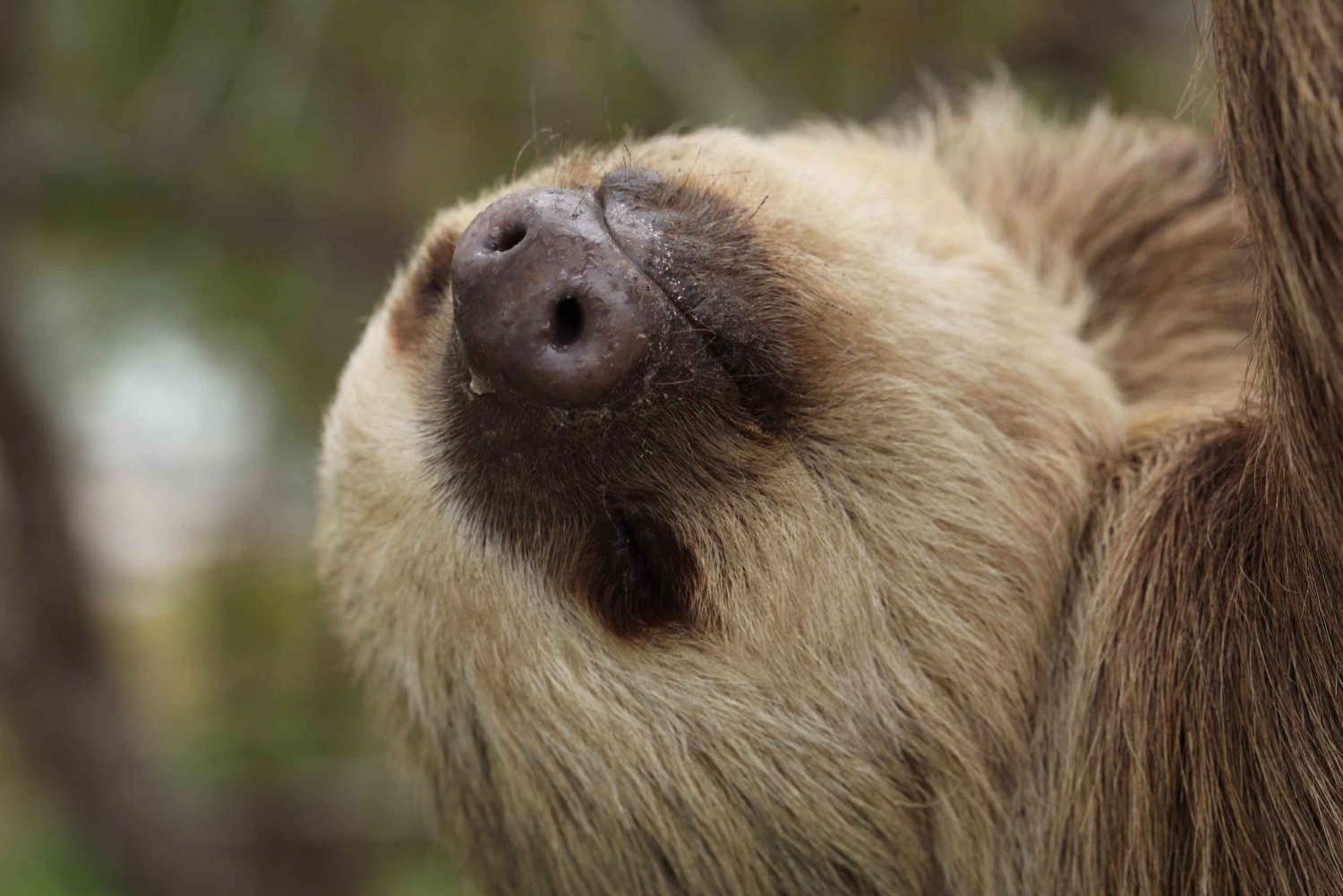 Kanava-alueen ja Gamboan puolen päivän kierros