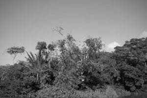 Kanava-alueen ja Gamboan puolen päivän kierros