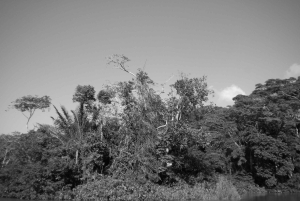 Strefa Kanału i Gamboa – wycieczka półdniowa