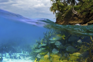 Things to do in Panama