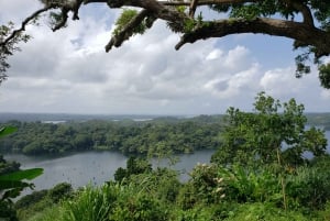 Caribbean Adventure: Snorkel & Zip Line Tour in Panama