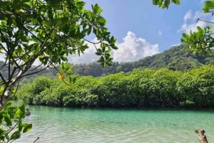 Excursión por las islas del Caribe, Isla Grande y Fuerte de Portobelo