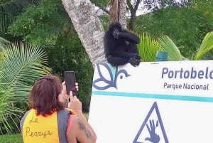 Excursión por las islas del Caribe, Isla Grande y Fuerte de Portobelo