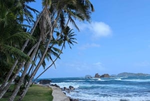 Île de Mamey dans les Caraïbes Pass journalier tout compris