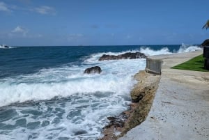 Caribbean Mamey Island Day pass all inclusive