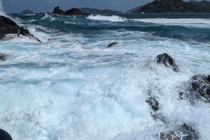 Caribbean Mamey Island Day pass all inclusive