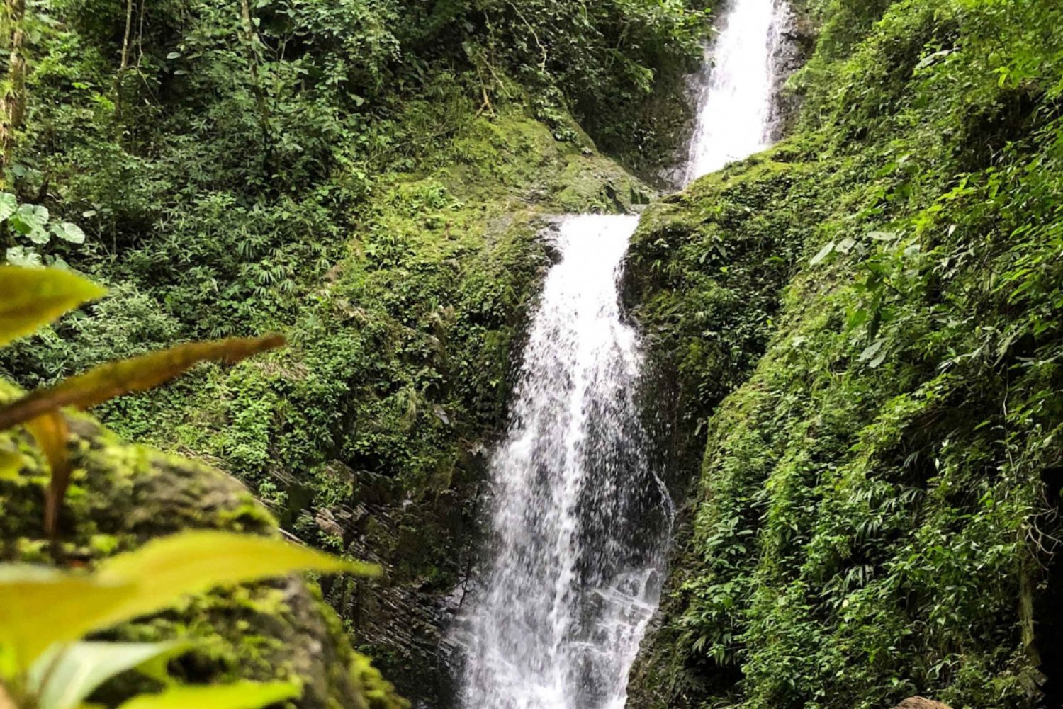 Panama City: Day Trip to Las Filipinas Waterfalls with Lunch