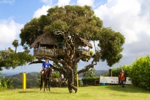 Aventuras en la granja del río Chagres