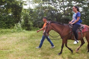 Aventuras en la granja del río Chagres