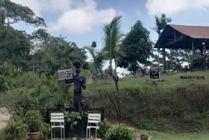 Aventuras en la granja del río Chagres