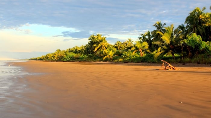 Las mejores islas paradisíacas en Panamá