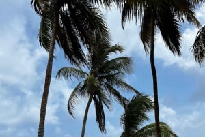 Excursão de um dia a San Blas, recolha, 3 ilhas, almoço Tudo incluído