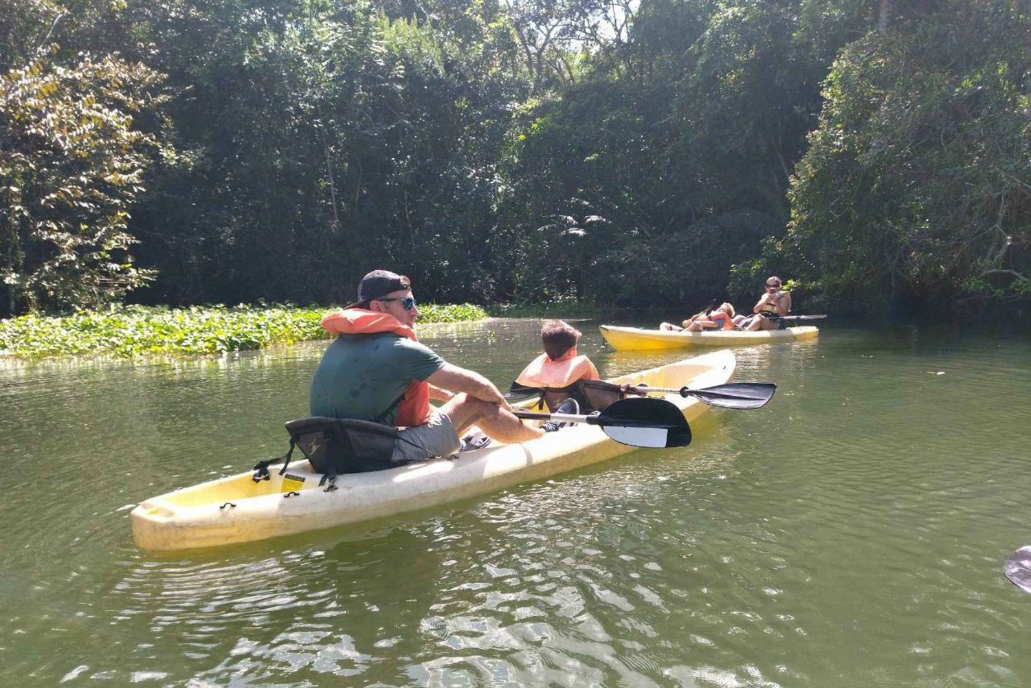 Scopri le meraviglie del fiume Chagres: un'avventura in kayak