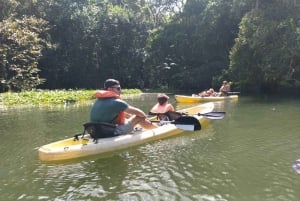 Ontdek de wonderen van de Chagres-rivier: een kajakavontuur