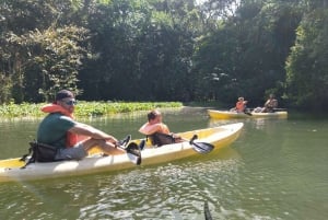 Scopri le meraviglie del fiume Chagres: un'avventura in kayak