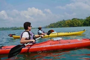 Descubra as maravilhas do rio Chagres: uma aventura de caiaque