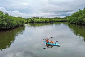 Scopri le meraviglie del fiume Chagres: un'avventura in kayak