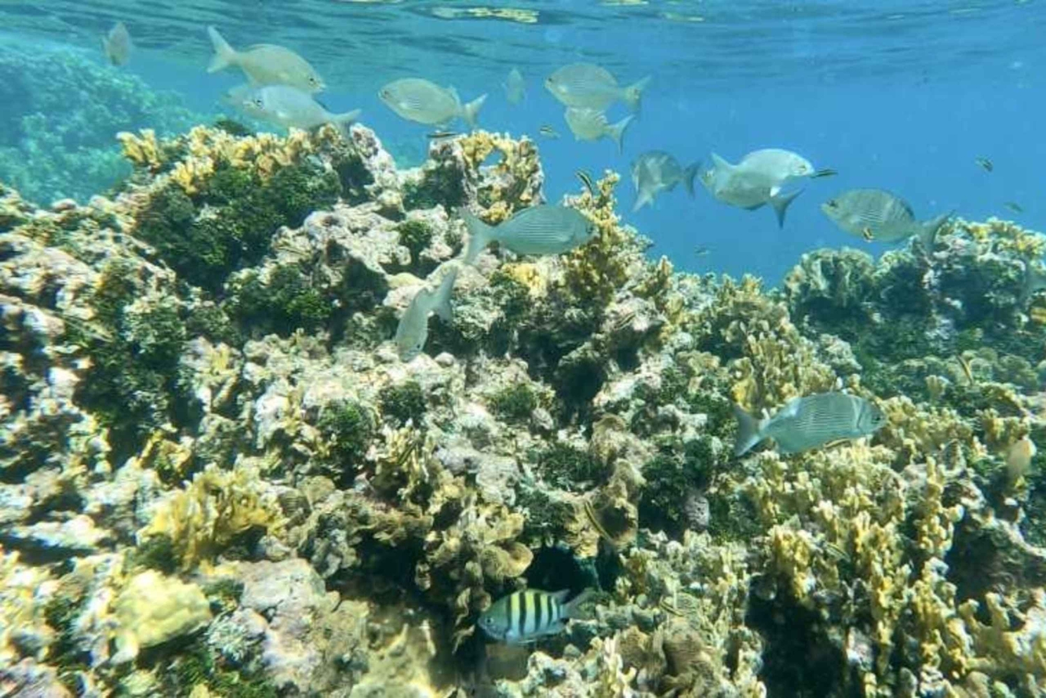 Desfrute de praias paradisíacas situadas em colón