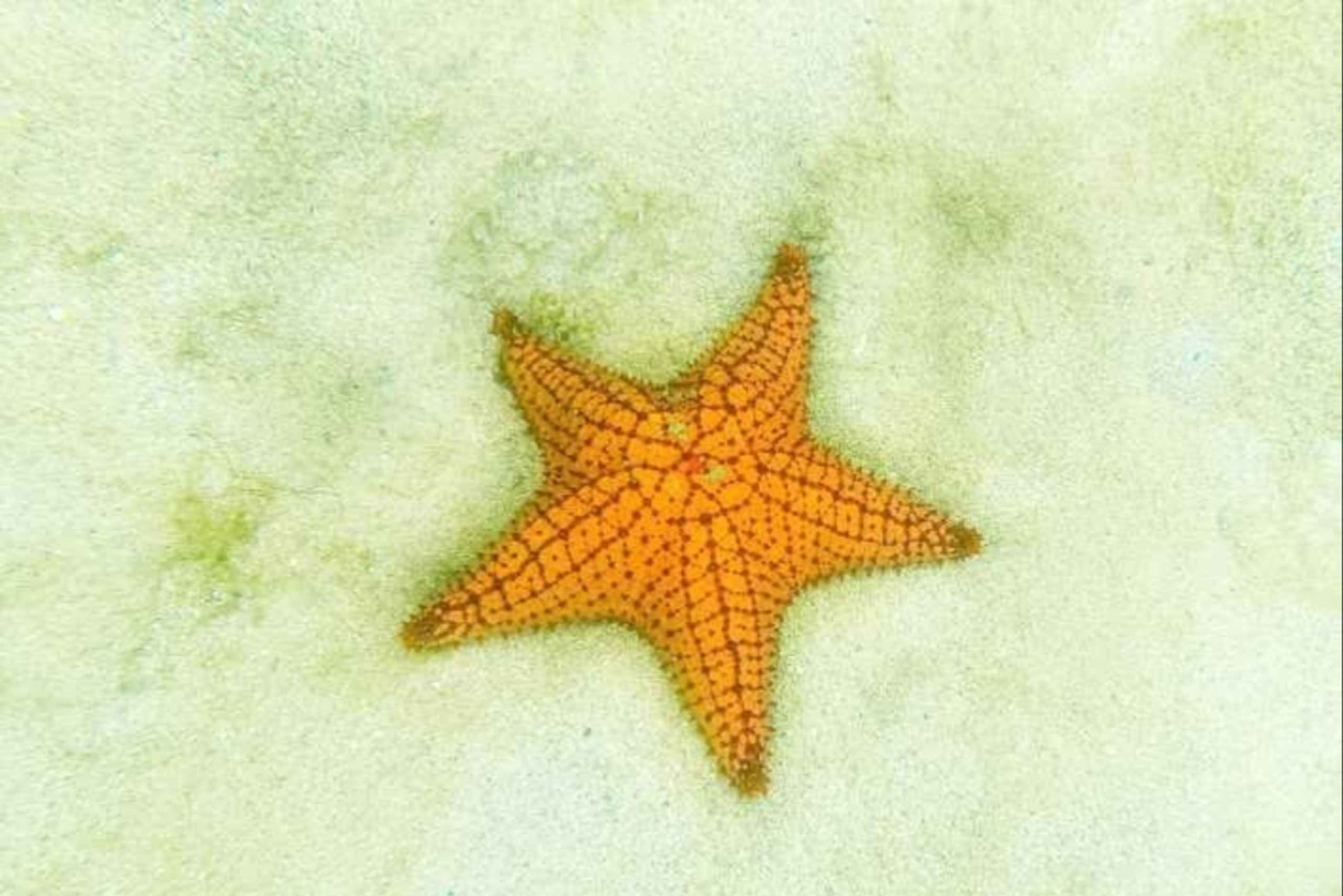 Desfrute de praias paradisíacas situadas em colón