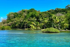 Desfrute de praias paradisíacas situadas em colón