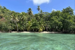 Desfrute de praias paradisíacas situadas em colón