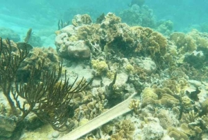 Desfrute de praias paradisíacas situadas em colón