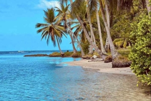 Desfrute de praias paradisíacas situadas em colón