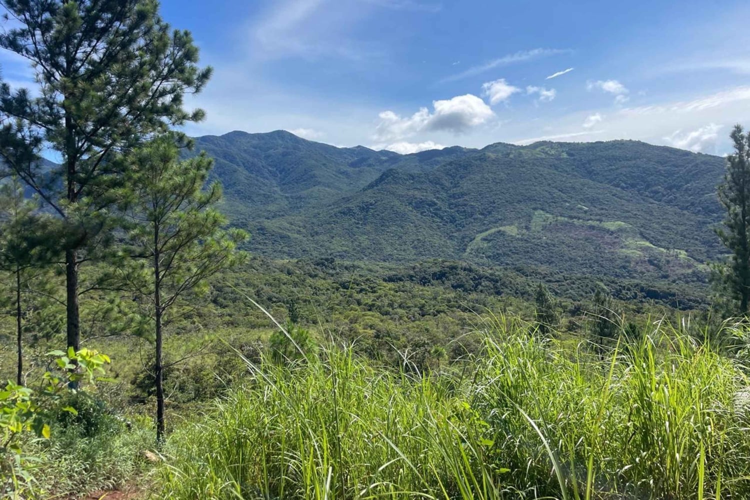 E-bike Coffee Tour in Boquete