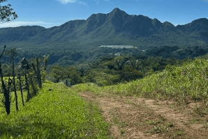 E-Bike Tour for Adventure Seekers