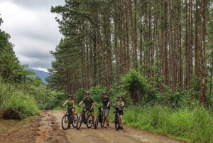 E-Bike Tour for Adventure Seekers