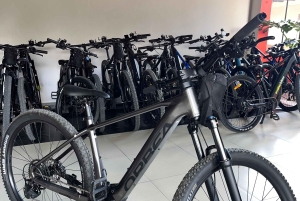 E-Bike Tour for Adventure Seekers